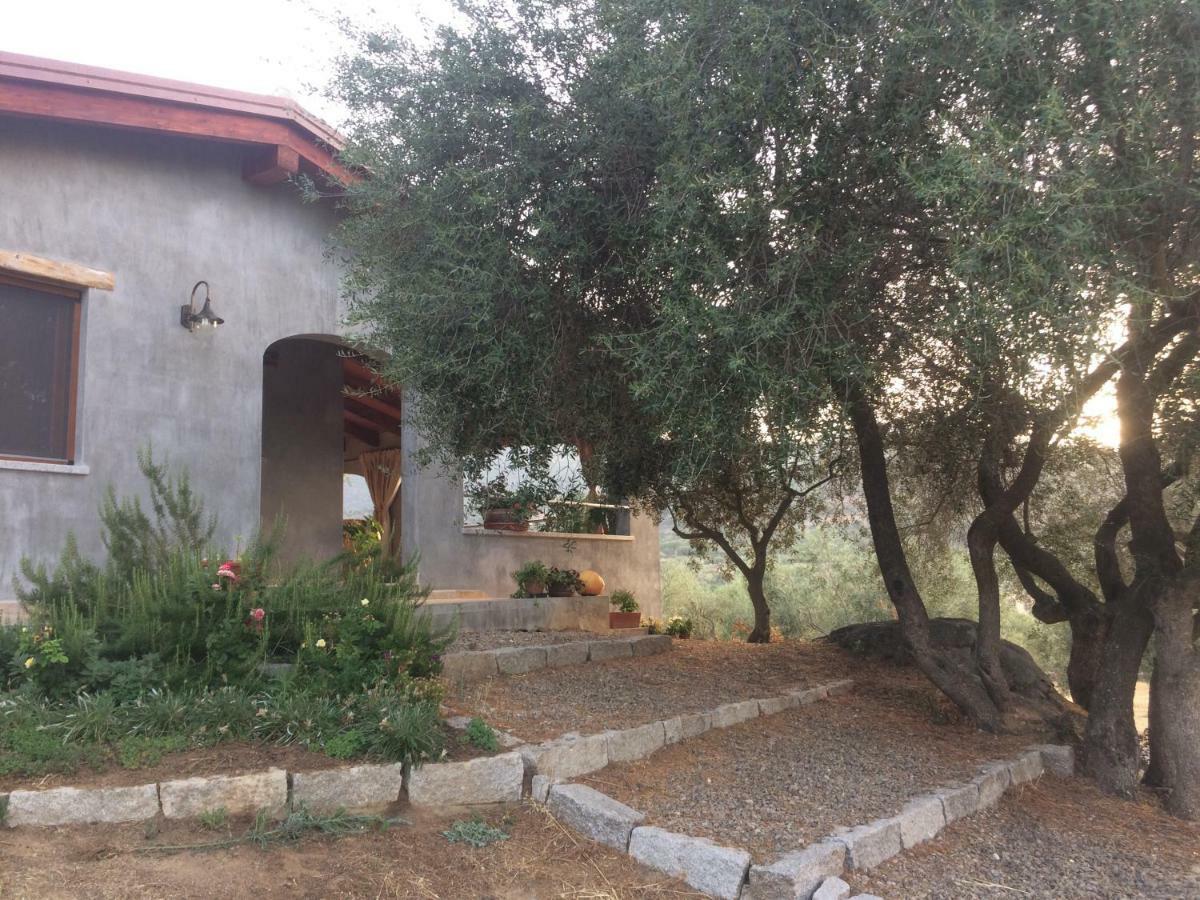 הוילה אורגוסולו S'Umbra De S'Ozzastru מראה חיצוני תמונה